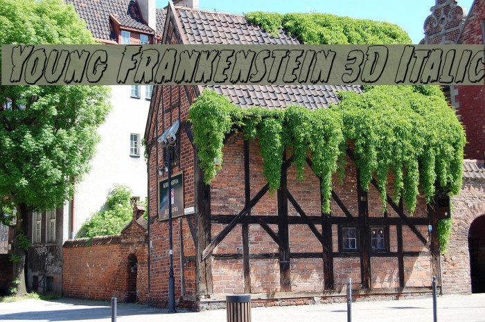 Young Frankenstein 3D Italic Font examples