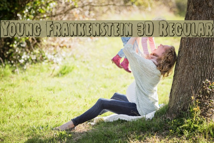 Young Frankenstein 3D Regular Font examples