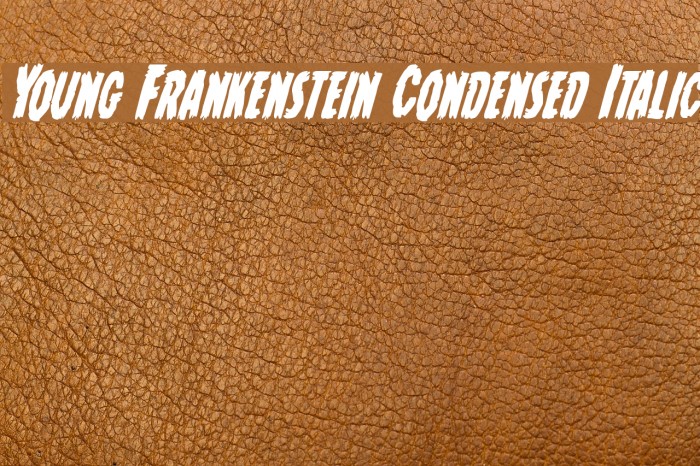Young Frankenstein Condensed Italic Font examples