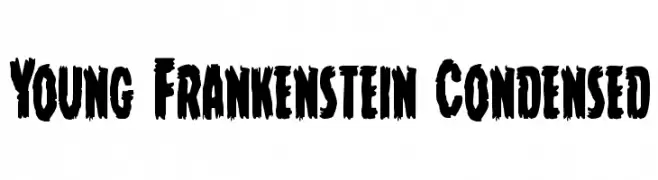 Young Frankenstein Condensed 