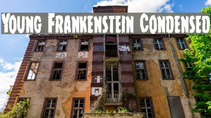 Young Frankenstein Condensed Font examples