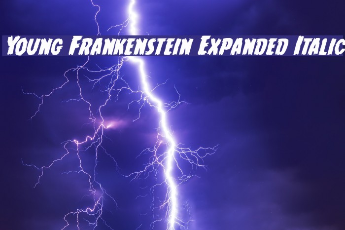 Young Frankenstein Expanded Italic Font examples