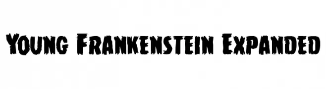 Young Frankenstein Expanded 
