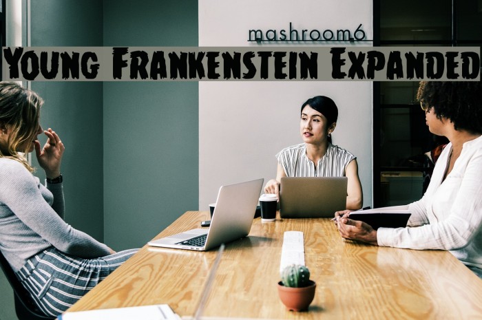 Young Frankenstein Expanded Font examples