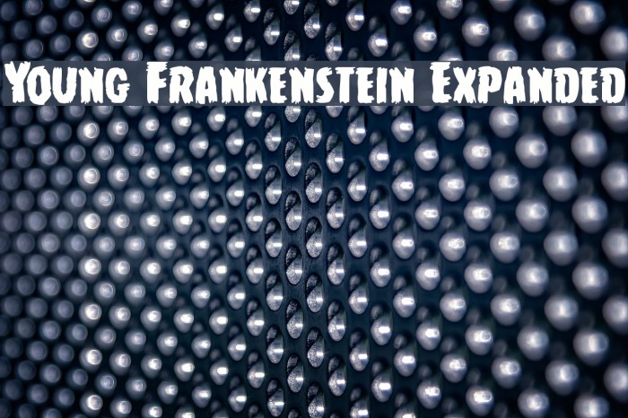 Young Frankenstein Expanded Font examples