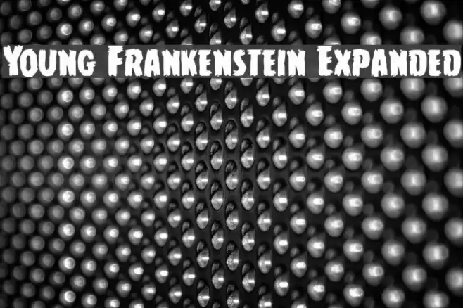 Young Frankenstein Expanded Шрифта examples