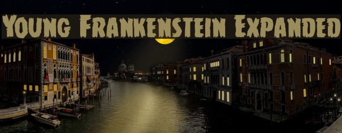 Young Frankenstein Expanded Font examples
