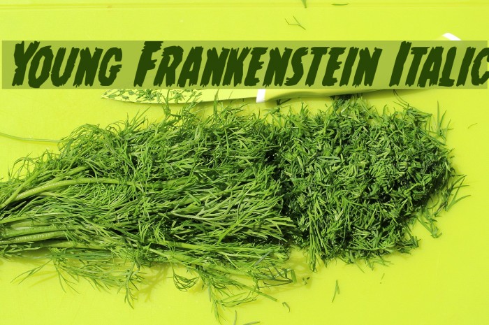 Young Frankenstein Italic Font examples