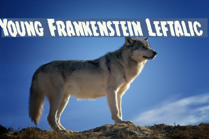 Young Frankenstein Leftalic Font examples