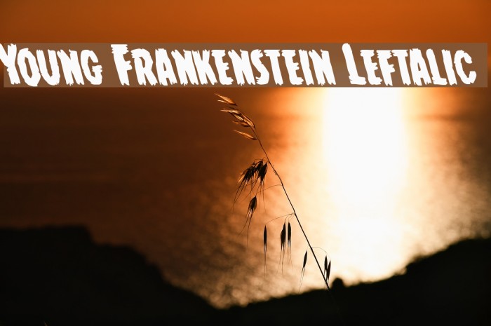 Young Frankenstein Leftalic Font examples