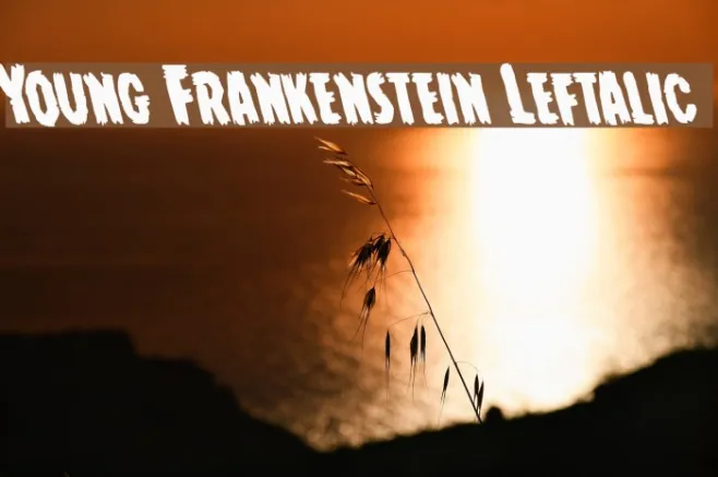Young Frankenstein Leftalic Example 2