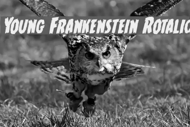 Young Frankenstein Rotalic  examples