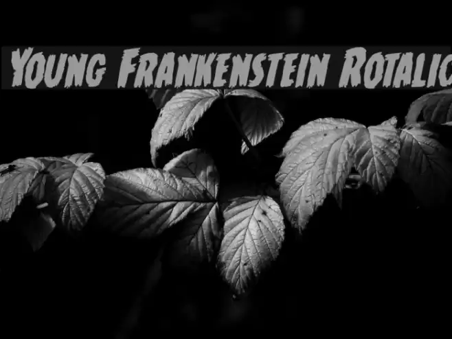 Young Frankenstein Rotalic  examples