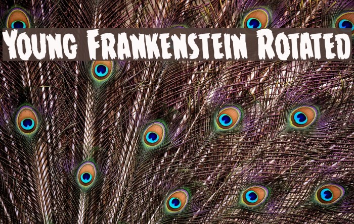 Young Frankenstein Rotated Font examples