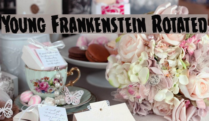 Young Frankenstein Rotated Font examples