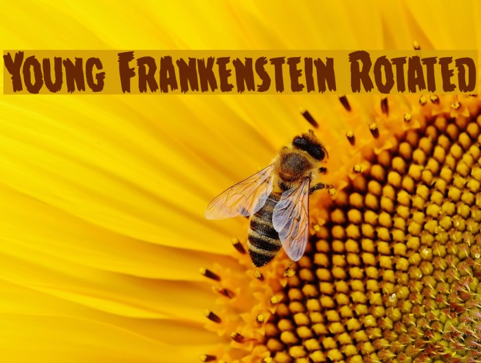 Young Frankenstein Rotated Font examples