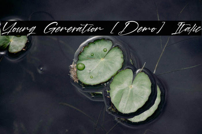 Young Generation [Demo] Italic Example 3