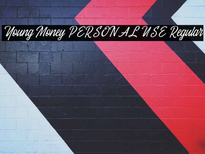 Young Money PERSONAL USE Regular Example 1
