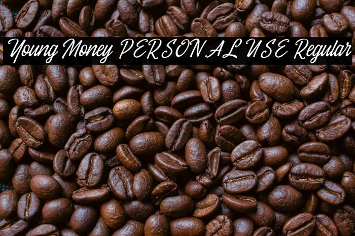 Young Money PERSONAL USE Regular Example 2