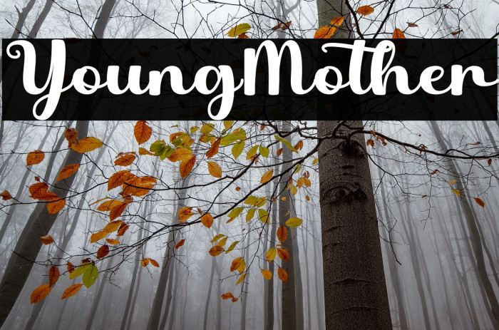 Young Mother Example 2