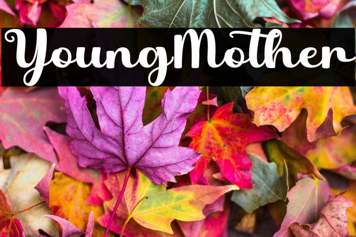 Young Mother Example 3