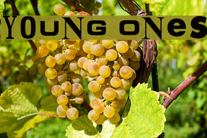 Young Ones Example 1