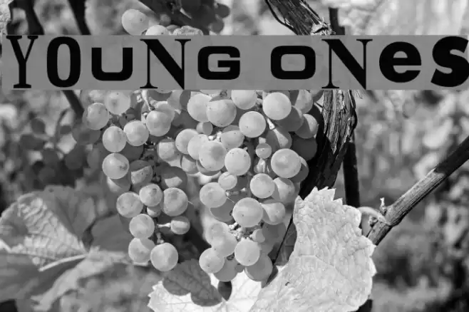 Young Ones Font examples