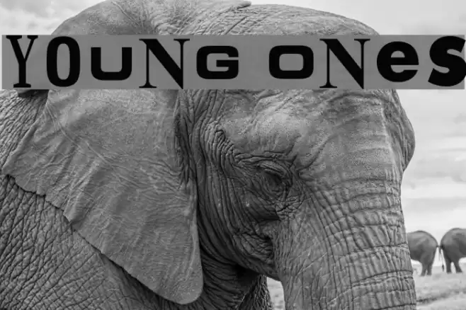 Young Ones Font examples