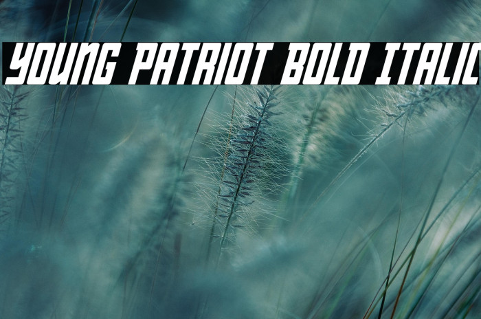Young Patriot Bold Italic Example 1