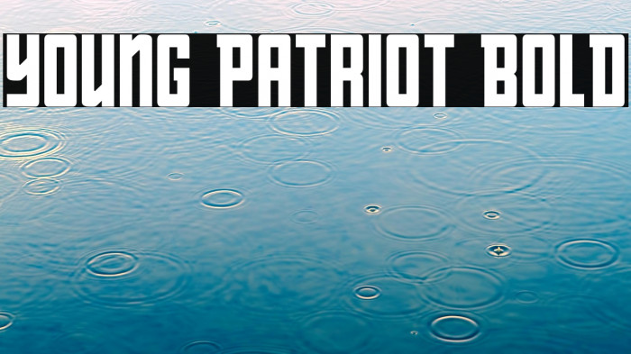Young Patriot Bold Example 1