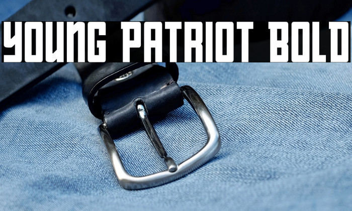 Young Patriot Bold Example 2