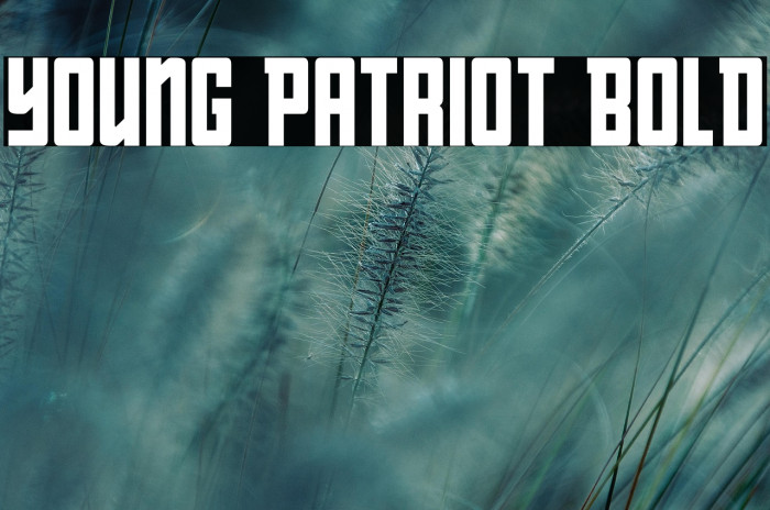 Young Patriot Bold Example 3