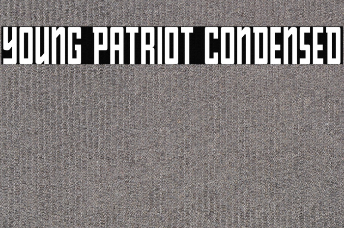 Young Patriot Condensed Example 1