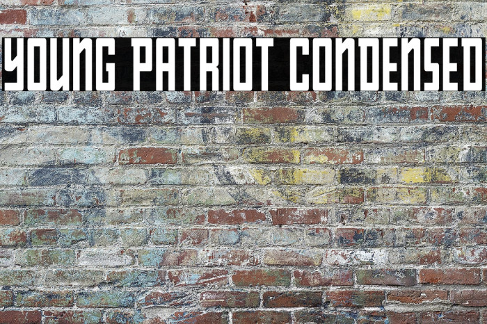 Young Patriot Condensed Example 2