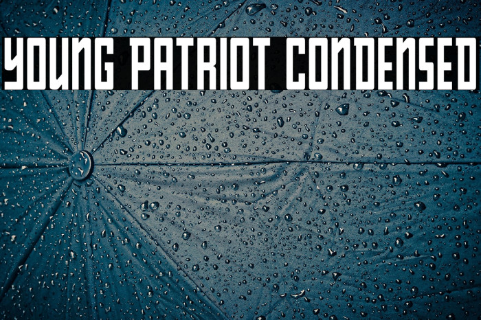 Young Patriot Condensed Example 3