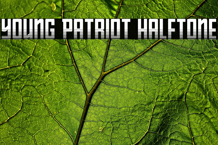 Young Patriot Halftone Example 1