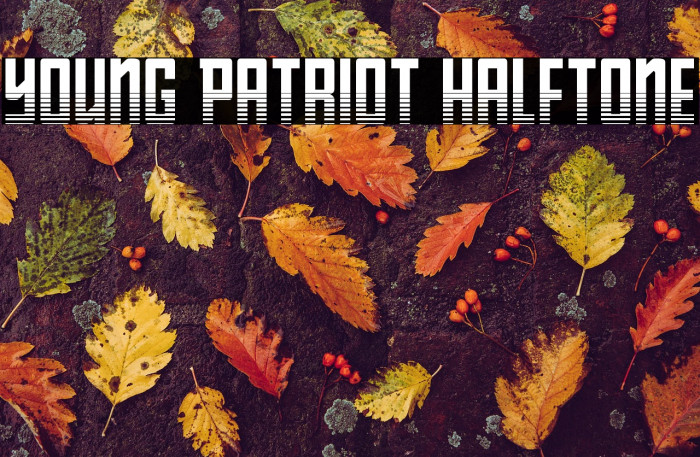 Young Patriot Halftone Example 2