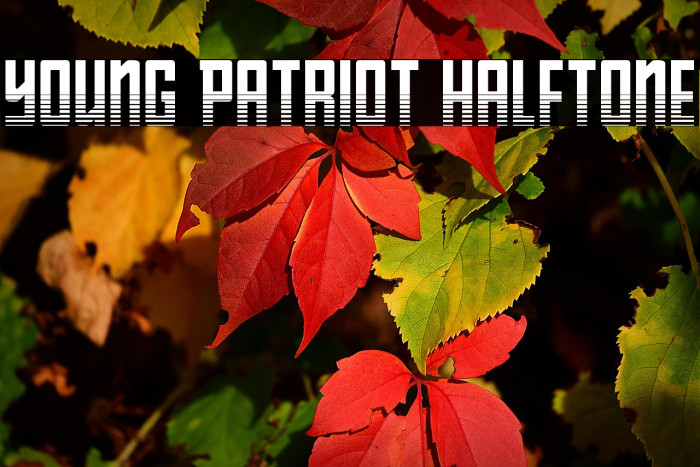 Young Patriot Halftone Example 3