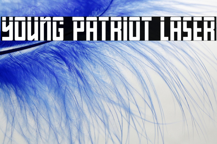 Young Patriot Laser Example 1