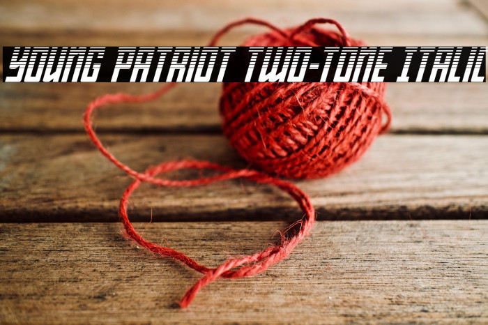 Young Patriot Two-Tone Italic Example 1