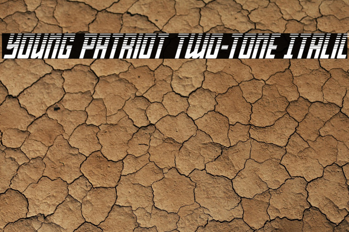 Young Patriot Two-Tone Italic Example 2