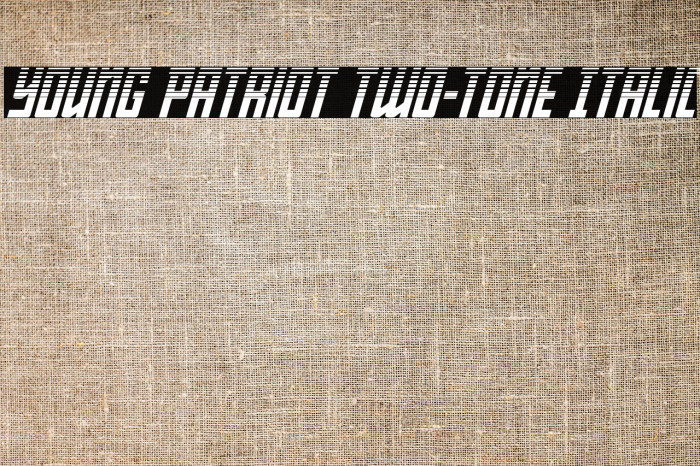 Young Patriot Two-Tone Italic Example 3
