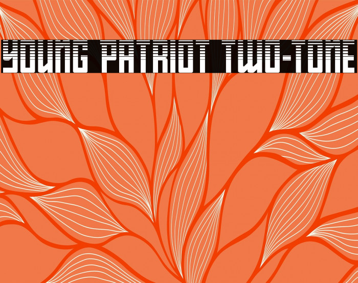 Young Patriot Two-Tone Example 2