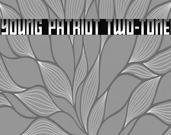 Young Patriot Two-Tone Font examples