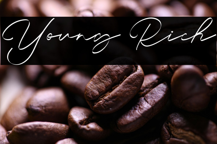 Young Rich Example 2