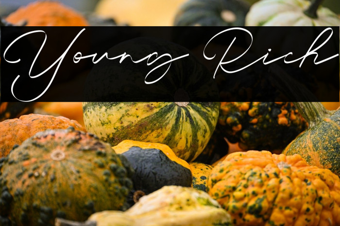 Young Rich Example 3