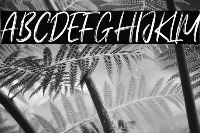 Young Robust Font examples