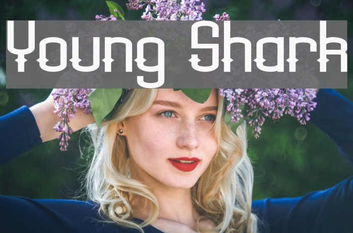 Young Shark Font examples