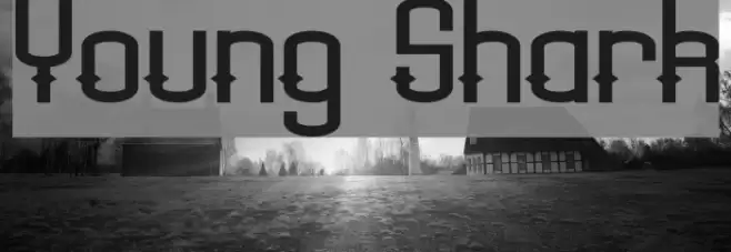 Young Shark Font examples