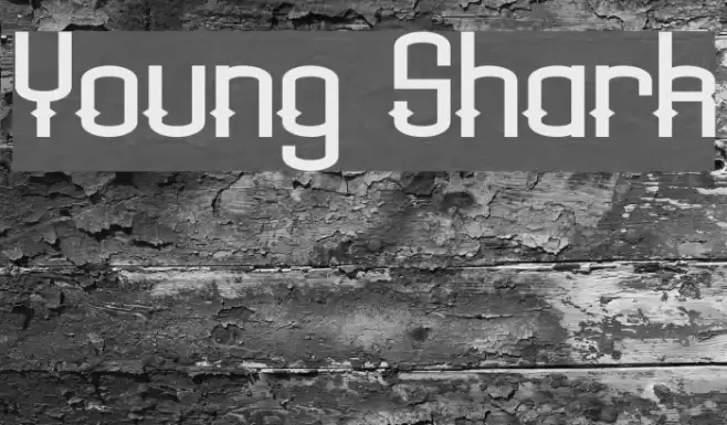 Young Shark Font examples